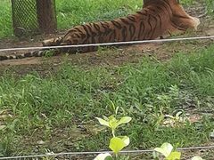 -秦皇岛野生动物园