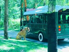 -北京野生动物园