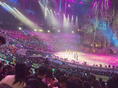 -广州长隆国际大马戏