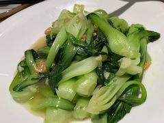 海米油菜-汇丰苑·海鲜青岛菜(中山路大鲍岛店)