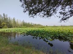 -野鸭湖国家湿地公园