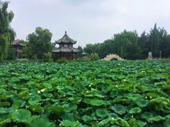 -莲池书院博物馆