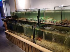 水产区-海九澎湖海鲜餐厅