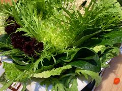 -南门四季铜锅涮肉(左家庄店)