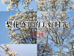 -阳澄湖半岛旅游度假区