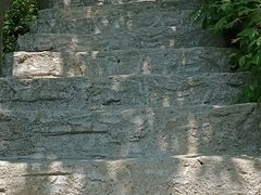 -天女山森林公园