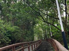 -水濂山森林公园