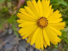 -春花秋色城市公园