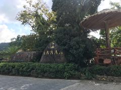-海南槟榔谷黎苗文化旅游区