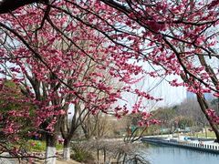 -白塘生态植物园