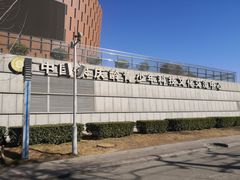 -中国宋庆龄青少年科技文化交流中心