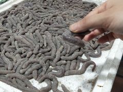 -万尾农贸市场