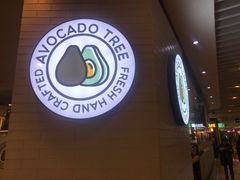 -油梨树 AVOCADO TREE(亮马桥店)
