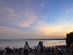 -宝安西湾红树林湿地公园