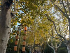 -杭州黄龙洞