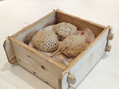 -侨美·唐荔园食艺馆