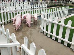 -大连铭湖国际观光牧场