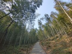 -听风阁农家私房菜茶楼(龙坞店)