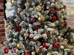 -翠园(铜锣湾广场店)