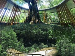 -云溪植物园