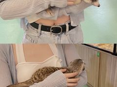 -藦茜花园宠物主题亲子互动体验馆(国顺东路店)