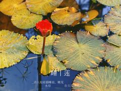 -国家植物园南园