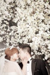 -麦莎MA3A摄影工作室(美兰金邸店)