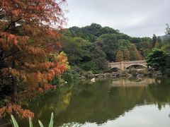 -云溪植物园