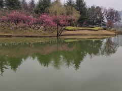 -白塘生态植物园