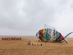 -海云台海滩