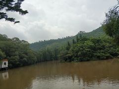 -滴水岩森林公园