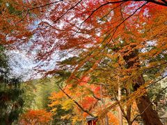 -三千院