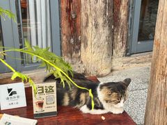 -甲乙丁書店·书茶咖·四合院