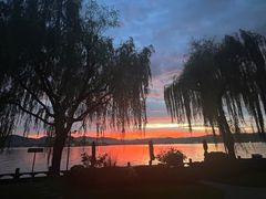 -杭州西湖柳莺里酒店·闻莺厅