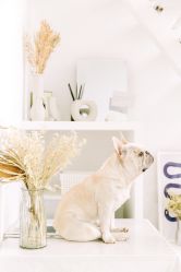 -ZOO KIDS象集摄影工作室(西城公馆店)