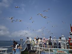 -海驴岛(荣成市)