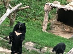 -清迈夜间动物园