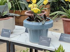 -国家植物园南园