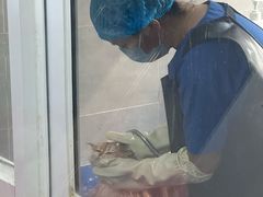 -宠福鑫康馨动物医院·骨科·眼科