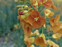 -中国天府农业博览园