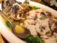 酸汤龙胆鱼-新悦·霞浦海鲜生(上下杭店)