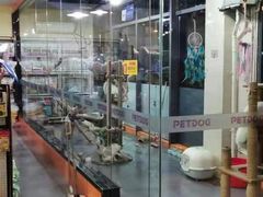 -牧马人宠物医院