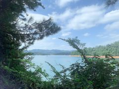 -广州市流溪河国家森林公园