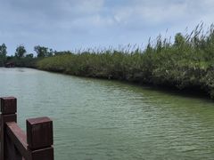 -泗洪洪泽湖湿地景区