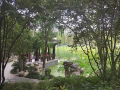 -莲湖公园