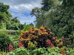 -中国科学院西双版纳热带植物园