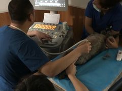 -宠福鑫动物医院·动物疾病诊疗中心(天通苑店)