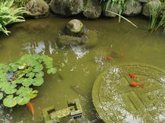 -大自然(鲁家村店)