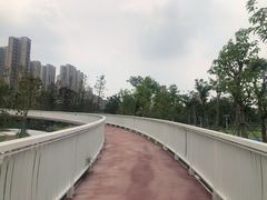-文华公园(禅城区)