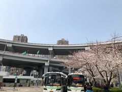 -上海南浦大桥长途旅游客运站